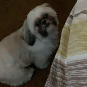 Meet your Posher, Val